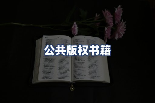 公共版权书籍